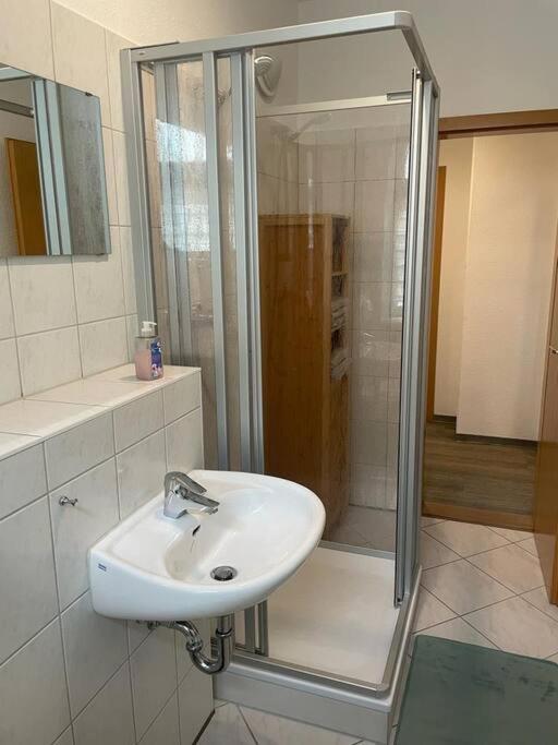 Ferienwohnung 3S Real Estate فرايبرغ المظهر الخارجي الصورة